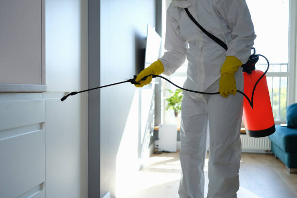 Best Best Mold Removal Companies  in Four Oaks, NC